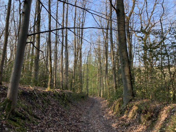 Nous descendons la Côte des Vas en direction du Sec Iton.