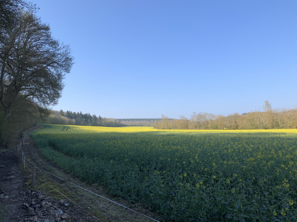 Vallée de l'Iton aux Longs Champs.
