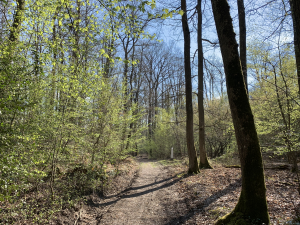 Chemin des Marchands. Ce chemin relie (depuis longtemps d'après son nom) Le Rebrac au plateau des Ventes.