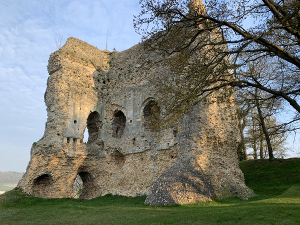 La façade sud du donjon du château de Brionne est assez bien conservée. On y distingue trois niveaux. Le niveau inférieur, aveugle à l'origine, a été percé d'une porte. Le premier étage, d'une hauteur de 4,20 mètres, était percé de deux grandes baies. Les combles étaient surmontés d'un toit à deux versants opposés.