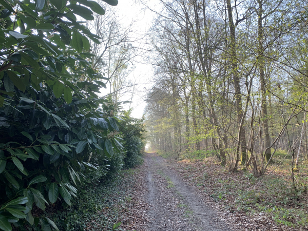 Nous sortons de Brionne par le chemin du Clos Philippot.