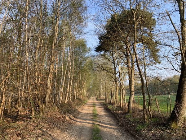 Chemin du Parc à Calleville.