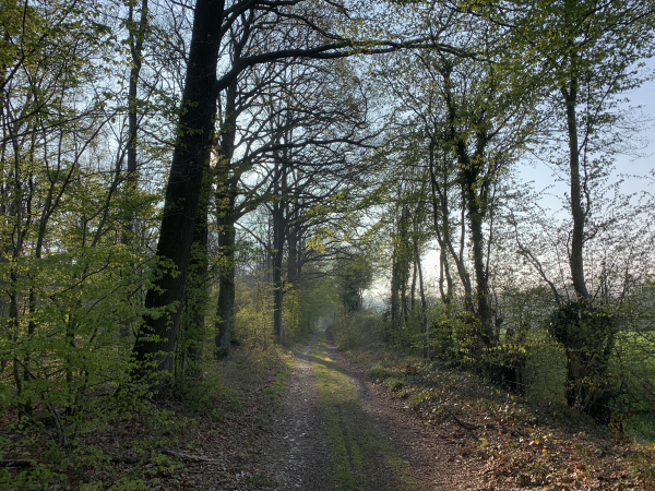 Chemin des Bruyères.