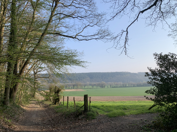 Sortie du bois dans la vallée du Bec.