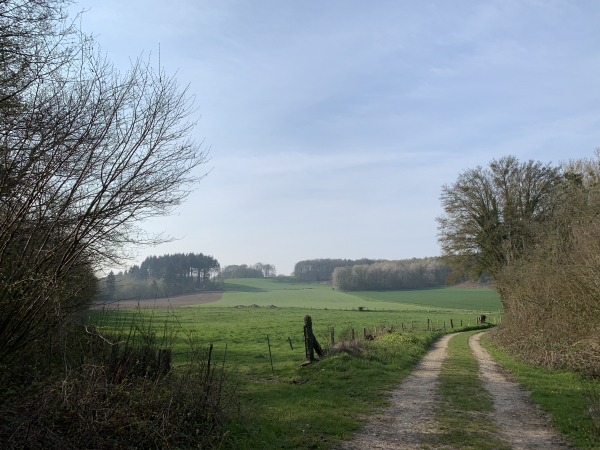 Nous quittons la Voie Verte à la Fontaine Claireau pour monter vers la Haye-de-Calleville.