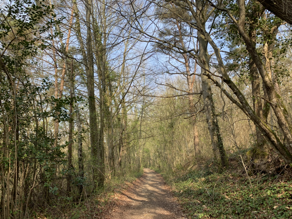 Nous évitons le goudron de la Voie Verte, et marchons sur le chemin parallèle.