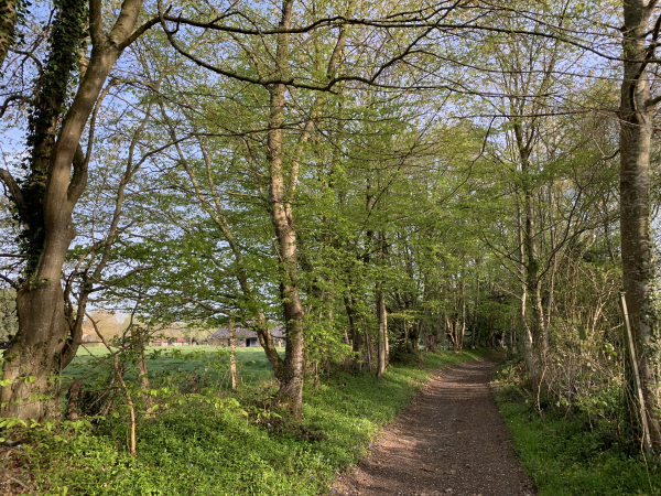 Côte Vigneron au niveau de la Vasserie.