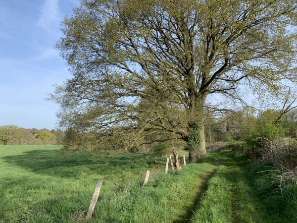 Nous descendons vers Livet-sur-Authou par la Côte-aux-Reines.