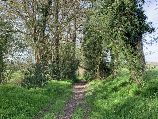 Nous contournons le bourg de Neuville-sur-Authou par les chemins et petites routes.