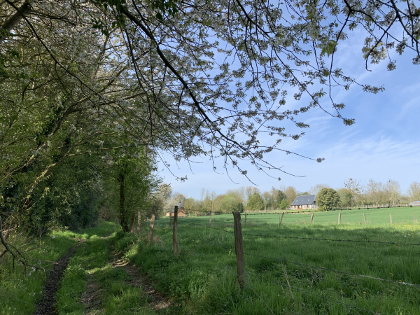 Nous contournons le bourg de Neuville-sur-Authou par les chemins et petites routes.