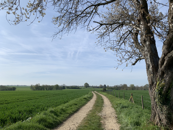 Entre Neuville-sur-Authou et St-Pierre-de-Salerne, nous suivons les chemins de la plaine agricole.