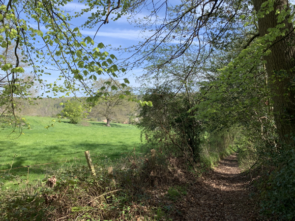 Sortie du bois de Bonnechose.