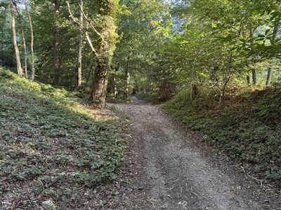 Dès la voie ferrée franchie, nous prenons le premier chemin à droite et montons dans le bois de la Côte Vigneron. A gauche, au-dessus de nous, se trouvait un camp romain qui surplombait l'antique ville de Breviodurum et la vallée de la Risle.