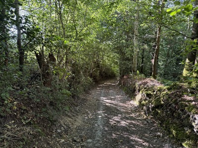 Nous descendons dans le vallon qui sépare St-Pierre-de-Salerne des bois de la Tour et de Bonnechose.