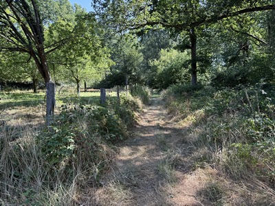 Vergers le long du chemin du bois de Bonnechose.