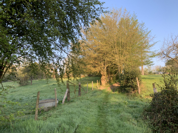 St-Eloi-de-Fourques, chemin du Quesnard.