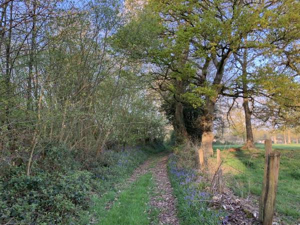 St-Eloi-de-Fourques, chemin du Mouchel.