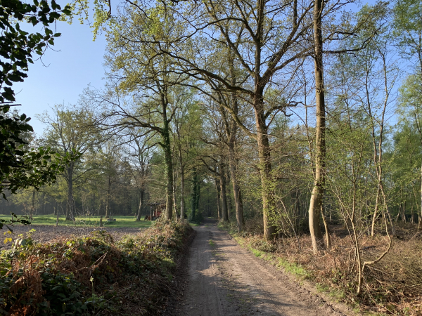 Entrée dans le bois de Salverte.