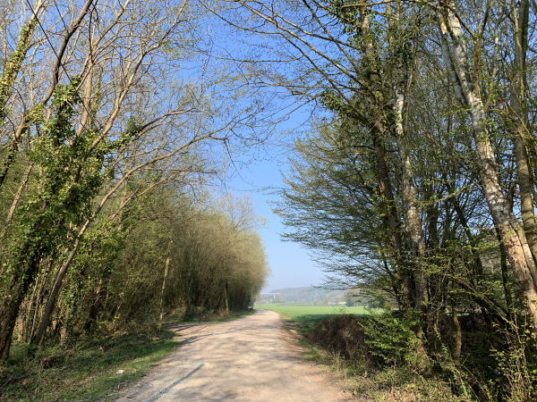 Nous sommes dans le Trou Tassin, sur le chemin de la Carrière Souterraine. Nous allons le quitter pour monter sur le Bout de l'Orne.