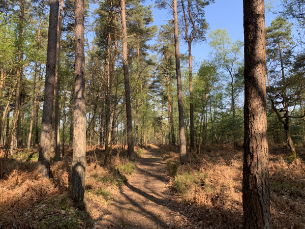 Bout de l'Orne, nous descendons maintenant vers la vallée du Bec.