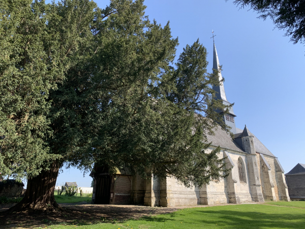 Eglise (XIIᵉ & XVIᵉ) de St-Eloi-de-Fourques. Le porche et la nef sont des XIVᵉ, XVᵉ et XVIᵉ siècles et le clocher de 1606.