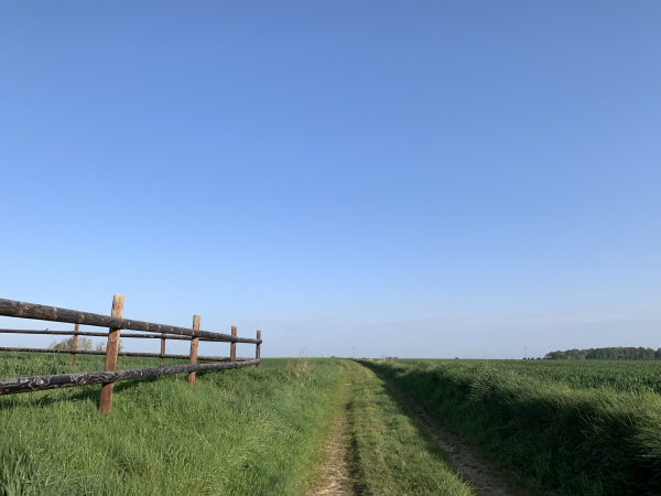 Sacquenville, chemin du Diguet. Nous sommes dans des paysages agricoles du Plateau du Neubourg.
