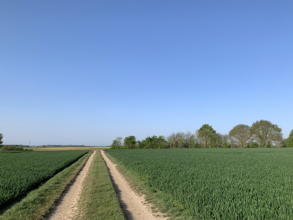 Nous distinguons la ligne d'arbres qui borde la Voie Verte, ancienne voie ferrée Evreux-Honfleur.