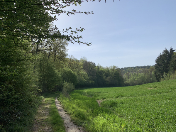 GR26, chemin des Pâtures.