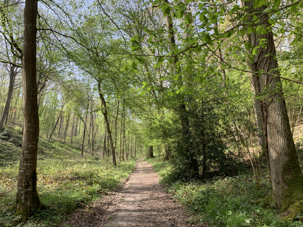 Nous quittons le GR26 pour suivre le chemin qui monte directement à Sacquenville.