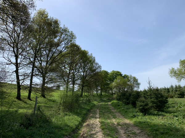 Nous sortons du bois au Bout Loriot.