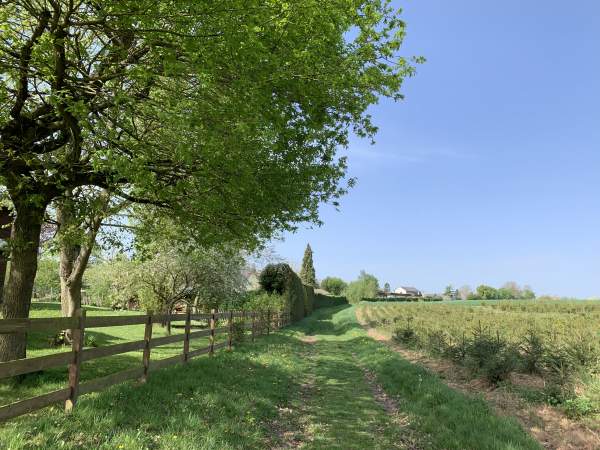 Nous entrons dans Sacquenville par le Bout Loriot.