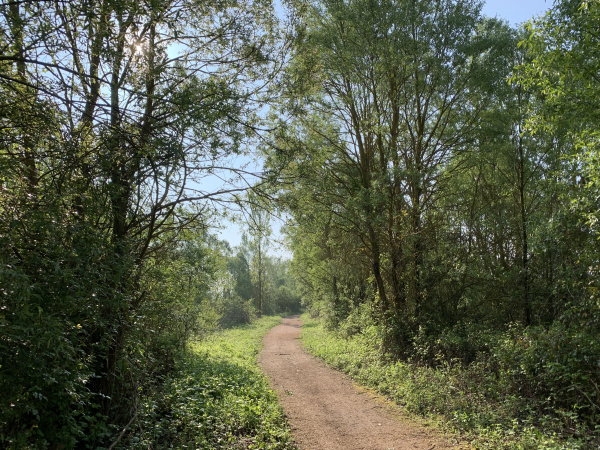 Ce n'est plus le GR2, mais le chemin reste parfaitement entrenu tout autour du lac.