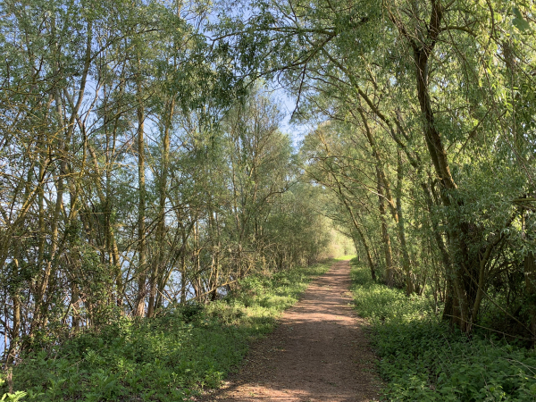 Nous n'avons pas pu suivre le chemin de la carrière de La Flamiche pour rejoindre la Seine à Tournedos-sur-Seine. Il est désormais fermé. Est-ce définitif ? Nous continuons donc de suivre le chemin qui fait le tour du lac, le long de la D110.