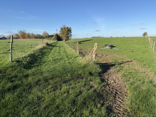 Nous prenons la direction du hameau de Mesnil-Fouque, et évitons le hameau en suivant ce chemin qui rejoint la route de Coqueréaumont (D53).