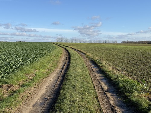 Le chemin du Fresnay traverse les plaines des Epinettes et du Gros Orme, en direction de Letteguives.