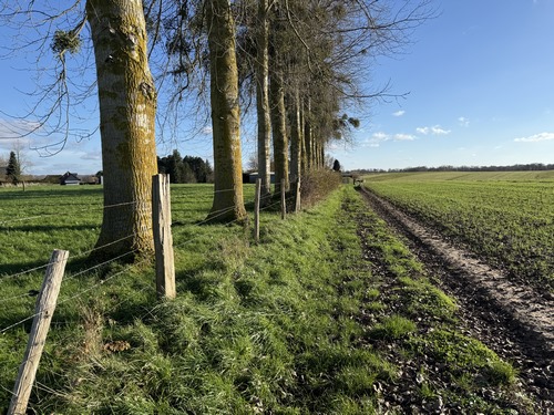 Chemin du Fresnay à l'entrée de Letteguives.