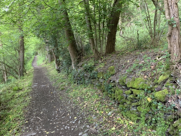 Par endroits, le chemin est bordé de murets de pierres sèches.