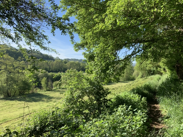 Ce charmant sentier longe l'Orne.