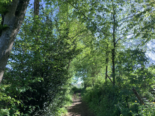 Le chemin commence dès la sortie du centre du bourg et monte au-dessus du village.