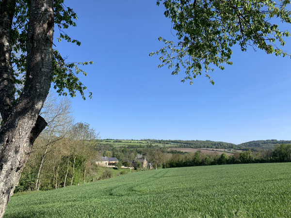 Notre chemin domine les paysages des Isles-Bardel.