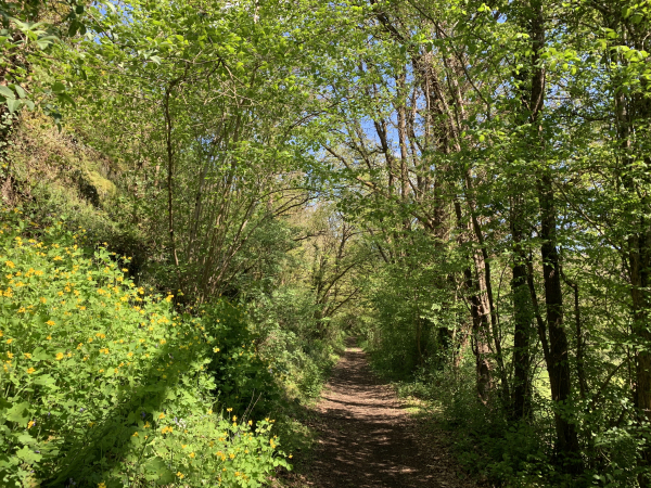 Nous suivons maintenat le chemin qui longe la Baize, petit affluant de l'Orne.