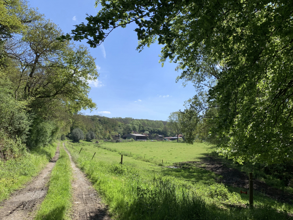 Le chemin le long de la Baize s'élargit et s'éclaircit.