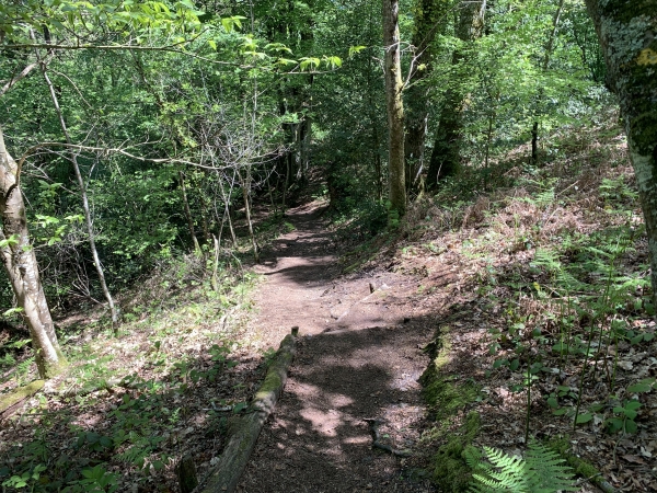 Nous partons de l'Espace de la Roche d'Oëtre où les voitures sont garées sur un grand parking, et descendons le chemin qui part vers l'est.