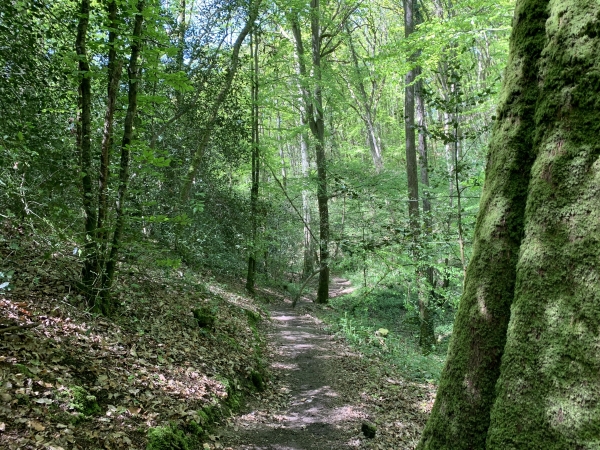 Le chemin est parfaitement entrenu et balisé : aucun risque de se perdre.