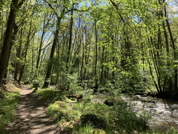 Nous voilà dans les gorges, le long de la Rouvre. Nous allons suivre la rivière jusqu'à la Maison du Paysage.
