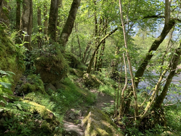 Certains passages sont très rocheux, prévoir de bonnes chaussures de randonnée.