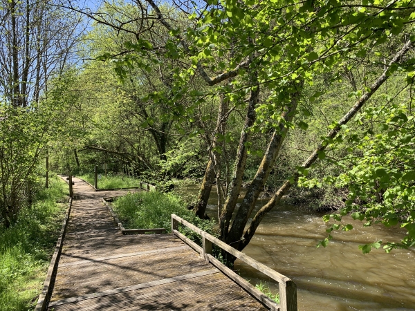 Nous voilà à proximité de la Maison du Paysage. Un parcours de pêche y est aménagé.