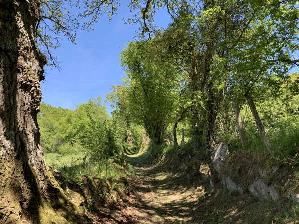 Après Bréel, nous remontons, en pente douce, vers les roches.