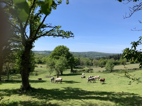 Le paysage de bocage contraste avec celui des gorges et celui des roches.