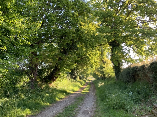 Ce chemin relie la rue Saint-Pierre à celle de Lignou.